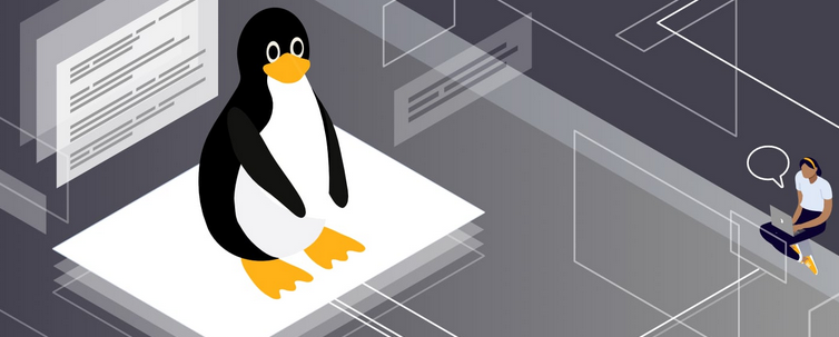 Linux : Scripting Shell en Bash